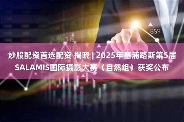 炒股配资首选配资 揭晓 | 2025年塞浦路斯第5届SALAMIS国际摄影大赛（自然组）获奖公布